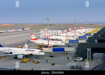 Vienna Vienna airport, pier North (North), aircraft, plane, Austrian airlines Stock Photo