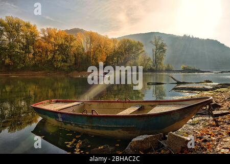 The Rhine in the morning light at the Bacharacher Werth, Bacharach, UNESCO World Heritage Upper Middle Rhine Valley, Rhine Valley, Rhineland-Palatinate, Germany Stock Photo