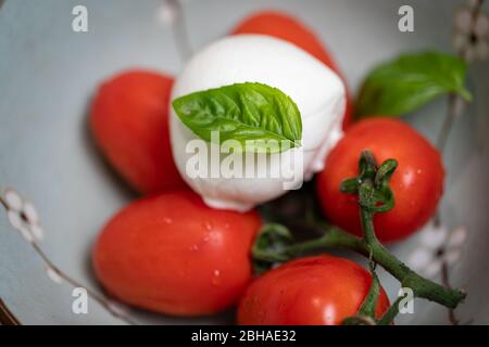 delicious caprese salad ripe tomatoes buffalo mozzarella and basil deatail, traditional italian cuisine Stock Photo