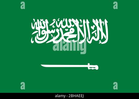 flag of Saudi Arabia Stock Vector