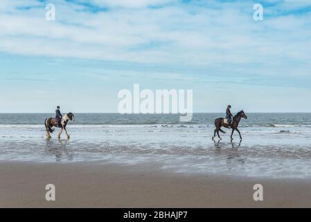 Horseback riders on the North Sea beach near Renesse, the Netherlands. Stock Photo