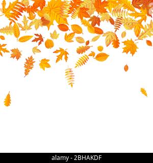 Orange and yellow falling autumn leaves template. EPS 10 Stock Vector