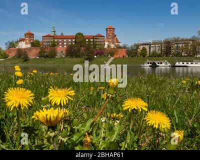 Cracow/Poland - 23/04/2020. The former Royal residence of Polish monarchy, Wawel Castle, Krakow, Poland. Spring time, view from the Vistula river boul Stock Photo