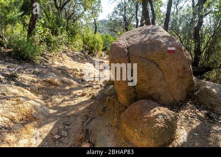 Europe, Spain, Catalonia, Costa Brava, waymarking on a boulder in the mountain forest of Massís de les Cadiretes Stock Photo