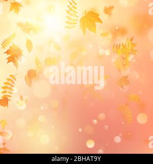 Autumn background with leaves. Back to school template. EPS 10 Stock Vector