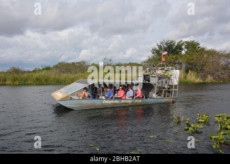 January scene from an airboat tour in Everglades and Francis S. Taylor Wildlife Management Area, Fort Lauderdale, Florida, USA. Stock Photo