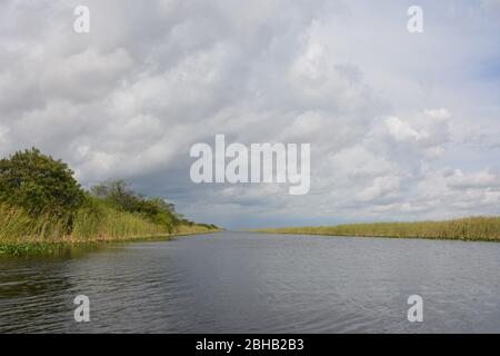 Clouds brewing in a January scene from an airboat tour in Everglades and Francis S. Taylor Wildlife Management Area, Fort Lauderdale, Florida, USA. Stock Photo