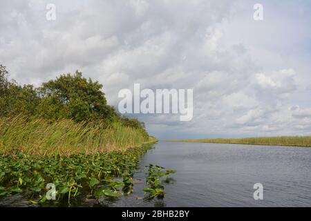 Clouds brewing in a January scene from an airboat tour in Everglades and Francis S. Taylor Wildlife Management Area, Fort Lauderdale, Florida, USA. Stock Photo