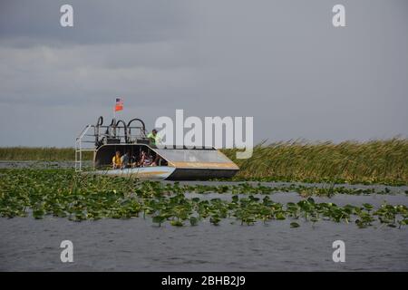 January scene from an airboat tour in Everglades and Francis S. Taylor Wildlife Management Area, Fort Lauderdale, Florida, USA. Stock Photo