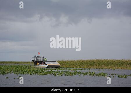 January scene from an airboat tour in Everglades and Francis S. Taylor Wildlife Management Area, Fort Lauderdale, Florida, USA. Stock Photo