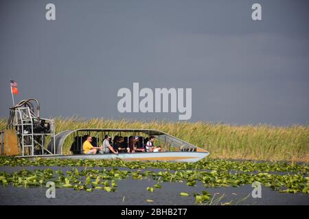 January scene from an airboat tour in Everglades and Francis S. Taylor Wildlife Management Area, Fort Lauderdale, Florida, USA. Stock Photo