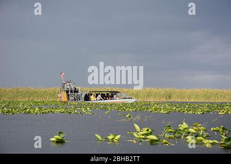 January scene from an airboat tour in Everglades and Francis S. Taylor Wildlife Management Area, Fort Lauderdale, Florida, USA. Stock Photo