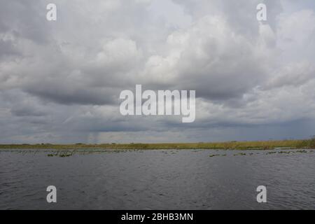 Clouds brewing in a January scene from an airboat tour in Everglades and Francis S. Taylor Wildlife Management Area, Fort Lauderdale, Florida, USA. Stock Photo