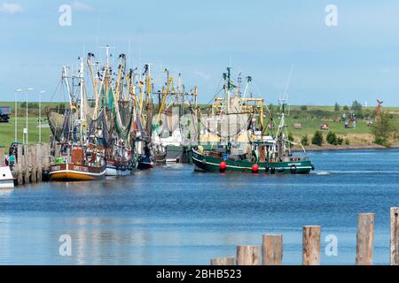 Germany, Lower Saxony, Ostfriesland, Greetsiel, crab cutter in the harbor. Stock Photo