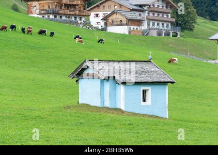 Austria, Saalbach-Hinterglemm, small chapel in a meadow with cows Stock Photo