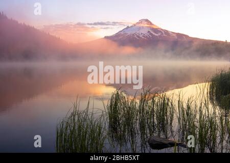 Early morning clouds glow over Trillium Lake, with Oregon's largest mountain, Mount Hood, in the background. Stock Photo