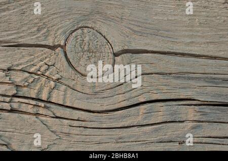 Particle of whitewashed pine wall of house with knot and cracked closeup. Texture, background Stock Photo