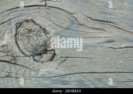 Particle of white washed pine wall of house with knot and cracked closeup. Texture, background Stock Photo
