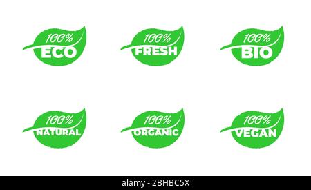 100 percent certified quality eco fresh bio natural organic vegan grean leaf product badge collection. Vector healthy ecology plant label set isolated eps illustration Stock Vector