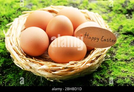 Chicken eggs in nest on green grass background Stock Photo