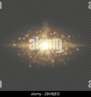 Special effect - shining star sun particles and sparks. Glitter and sequins bokeh lights isolated on transparent background. EPS 10 Stock Vector