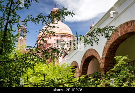 Famous Anchor plant(Colletia paradoxa) with its cross shaped thorns at the Convento de la Santa Cruz (Holy Cross Convent) in Queretaro, Mexico. Stock Photo