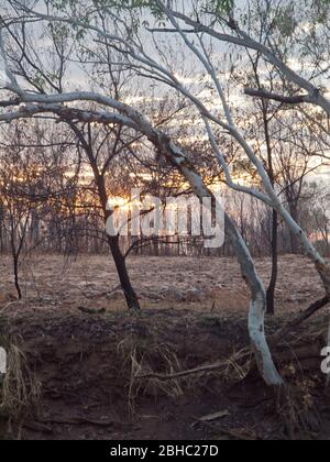 Sunrise over burnt savannah, Tablelands, Kimberley, Western Australia Stock Photo