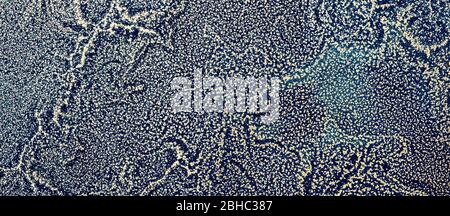 Gold sparkles wavy pattern on dark blue background. Abstract banner. Acrylic Fluid Art. Stock Photo