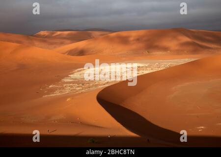 Tourists, dead trees (thought to be 900 years old),  and giant sand dunes at Deadvlei, near Sossusvlei, Namib-Naukluft National Park, Namibia, Africa Stock Photo