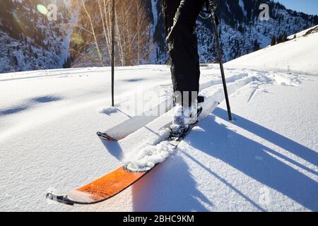 Man skiing on fresh powder snow at the mountains close up shot, low angle. Stock Photo