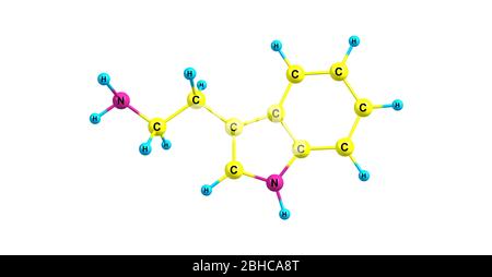 Tryptamine is a monoamine alkaloid. It contains an indole ring structure, and is structurally similar to the amino acid tryptophan, from which the nam Stock Photo