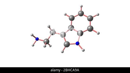 Tryptamine is a monoamine alkaloid. It contains an indole ring structure, and is structurally similar to the amino acid tryptophan, from which the nam Stock Photo