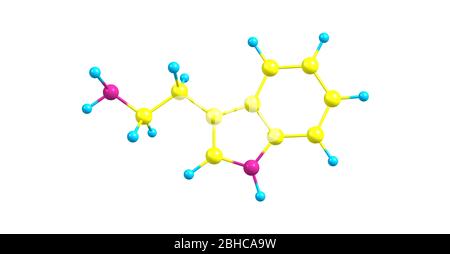 Tryptamine is a monoamine alkaloid. It contains an indole ring structure, and is structurally similar to the amino acid tryptophan, from which the nam Stock Photo