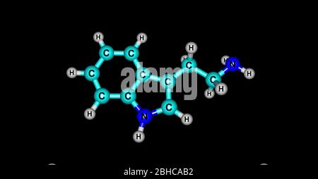 Tryptamine is a monoamine alkaloid. It contains an indole ring structure, and is structurally similar to the amino acid tryptophan, from which the nam Stock Photo