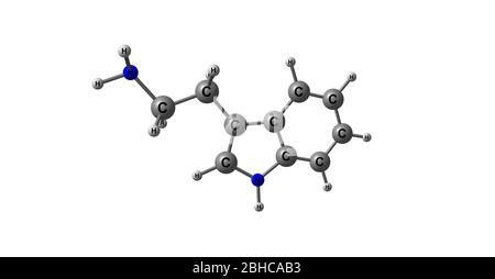 Tryptamine is a monoamine alkaloid. It contains an indole ring structure, and is structurally similar to the amino acid tryptophan, from which the nam Stock Photo