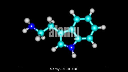 Tryptamine is a monoamine alkaloid. It contains an indole ring structure, and is structurally similar to the amino acid tryptophan, from which the nam Stock Photo