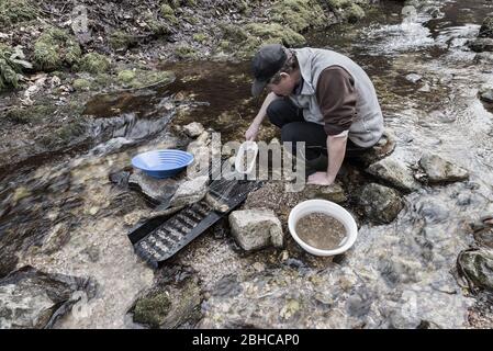 Outdoor adventures on river. Gold panning Stock Photo