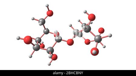 Maltose or maltobiose or malt sugar is a disaccharide formed from two units of glucose joined with an alpha bond. 3d illustration Stock Photo