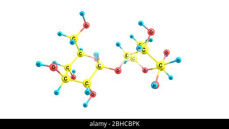 Maltose or maltobiose or malt sugar is a disaccharide formed from two units of glucose joined with an alpha bond. 3d illustration Stock Photo