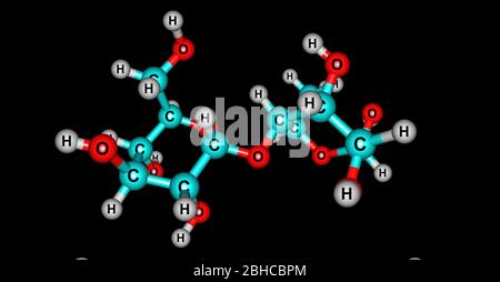 Maltose or maltobiose or malt sugar is a disaccharide formed from two units of glucose joined with an alpha bond. 3d illustration Stock Photo