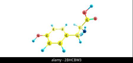 Tyrosine or Tyr or 4-hydroxyphenylalanine is one of the 20 standard amino acids that are used by cells to synthesize proteins. 3d illustration Stock Photo