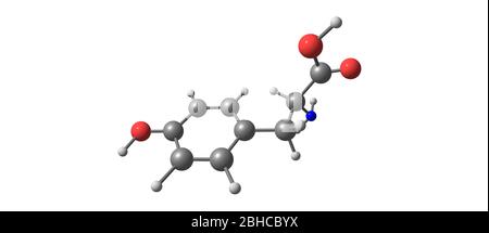 Tyrosine or Tyr or 4-hydroxyphenylalanine is one of the 20 standard amino acids that are used by cells to synthesize proteins. 3d illustration Stock Photo