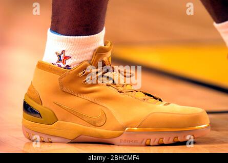 lebron james 2004 shoes