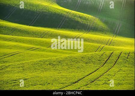 Green spring nature background with setting sun and grass. Waves on the field.  Moravian Tuscany - Czech Republic - Europe. Stock Photo