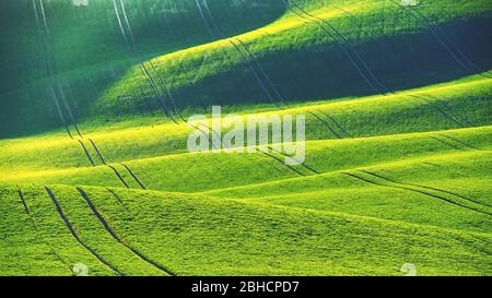 Green spring nature background with setting sun and grass. Waves on the field.  Moravian Tuscany - Czech Republic - Europe. Stock Photo