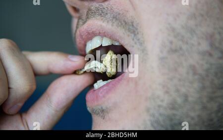 Biohacking and brain development with magic mushrooms. Stock Photo