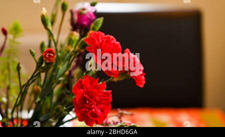 Red carnations in a vase on display at home Stock Photo