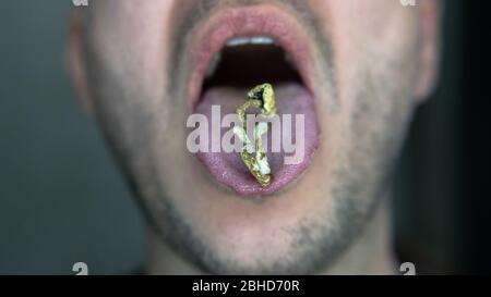 Biohacking and brain development with magic mushrooms. Stock Photo