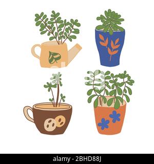 Set of green houseplants in interesting pots in vector graphics on a white background Stock Vector
