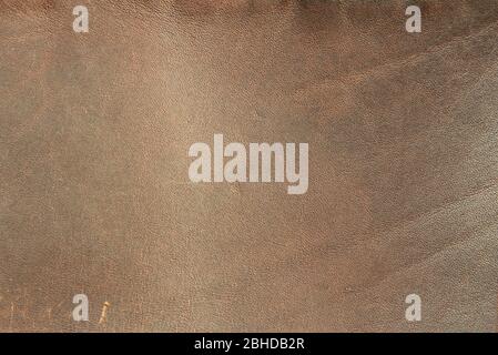 Brown genuine leather texture closeup. Background for text design. Stock Photo